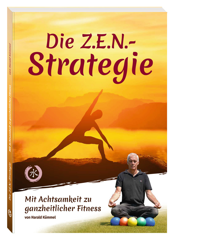 Zen Strategie 2