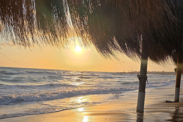 wilson open 26 sorgun strand