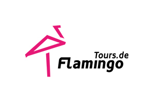 flamingo tours logo c