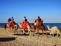 Robinson-Clubtester-Djerba-Kamelreiten