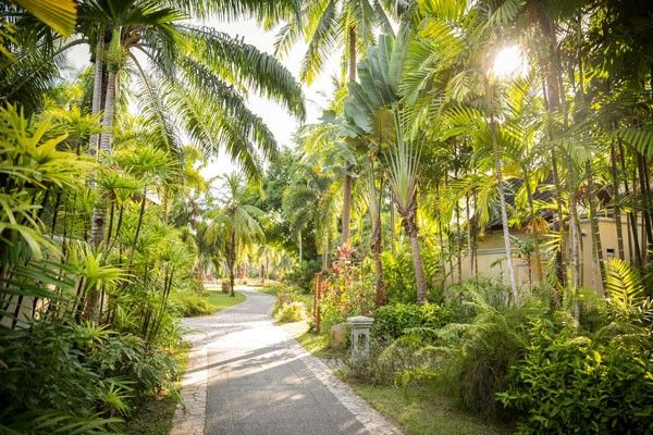 tennishotel robinson club khao lak jungle