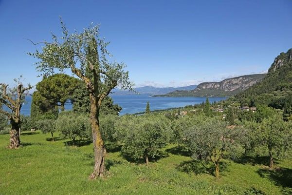 Appartementanlage Arca Gardasee Seeblick2