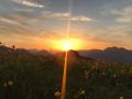 naturhotel schuetterbad sunset