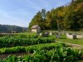 tennish hotel sport otocec garden2