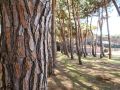tennishotel garden toscana resort pineta