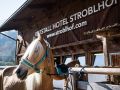 tennishotel stroblhof suedtirol reistall