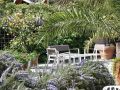 tennis hotel marlena26 garden