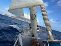 tap yacht tenniscamp balearen schiff